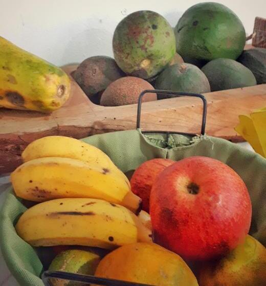 חדר סטנדרט, Ecohostel Dos Canyons Santa Catarina