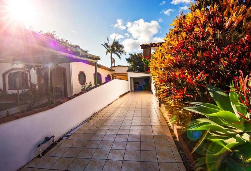 חדר סטנדרט חדר אמבטיה משותף, Ecohostel Dos Canyons Santa Catarina