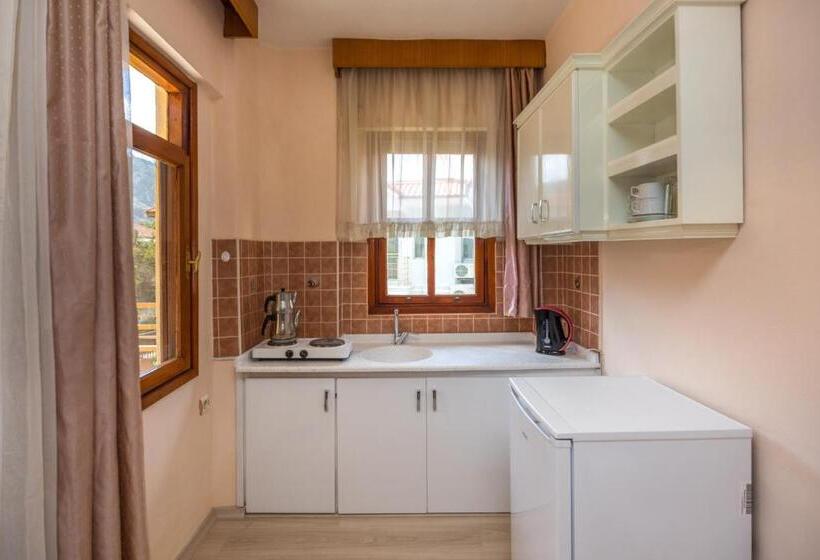 带1个卧室的公寓, üstün Apart