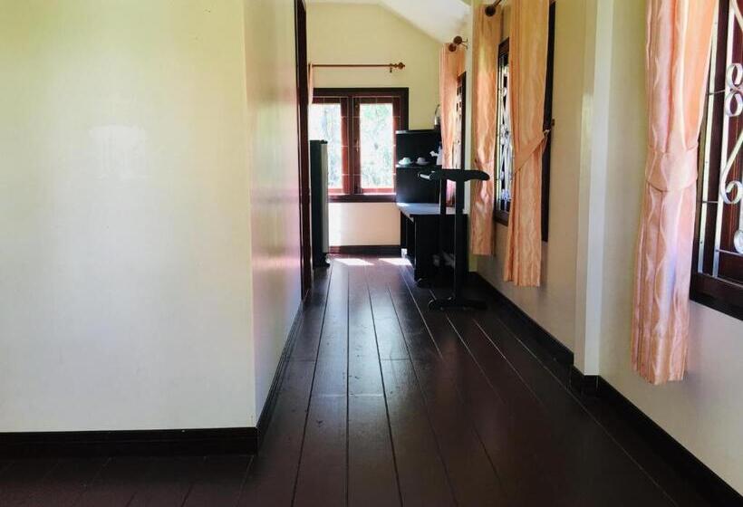 스탠다드 방갈로 정원 전망, Green Garden House