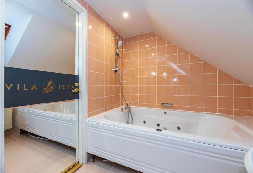 آپارتمان 1 خوابه, Vila Ieva