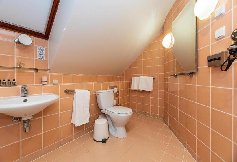 آپارتمان 1 خوابه, Vila Ieva