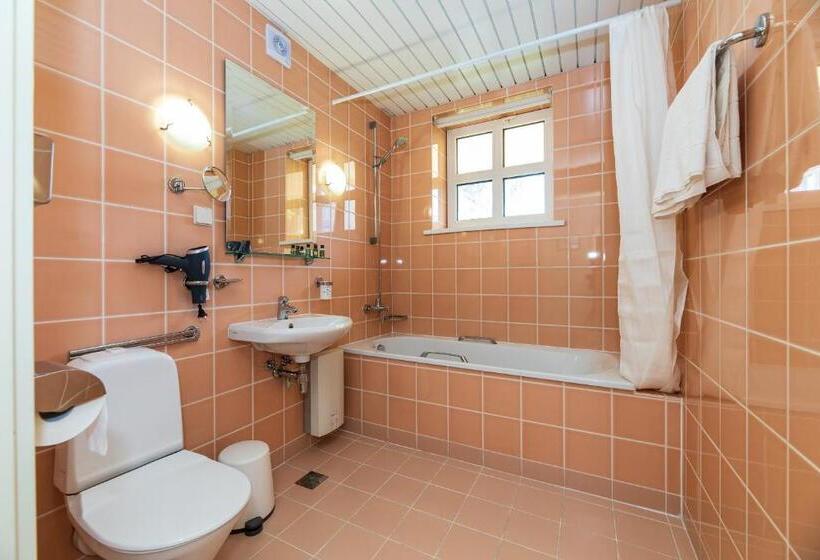 اتاق استاندارد, Vila Ieva