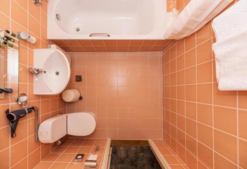 اتاق استاندارد, Vila Ieva