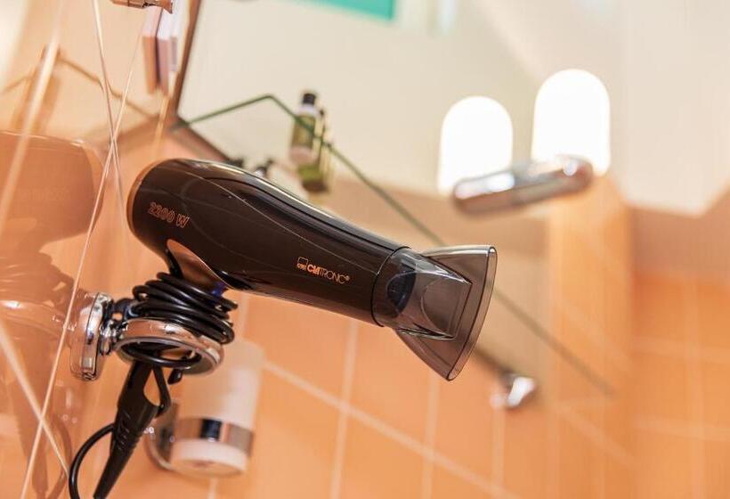 اتاق سوپریور خانوادگی, Vila Ieva