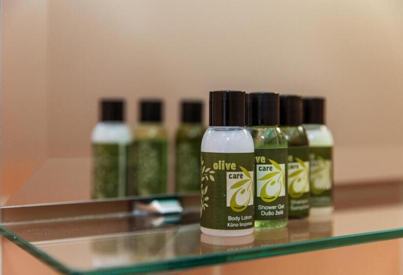 اتاق سوپریور خانوادگی, Vila Ieva