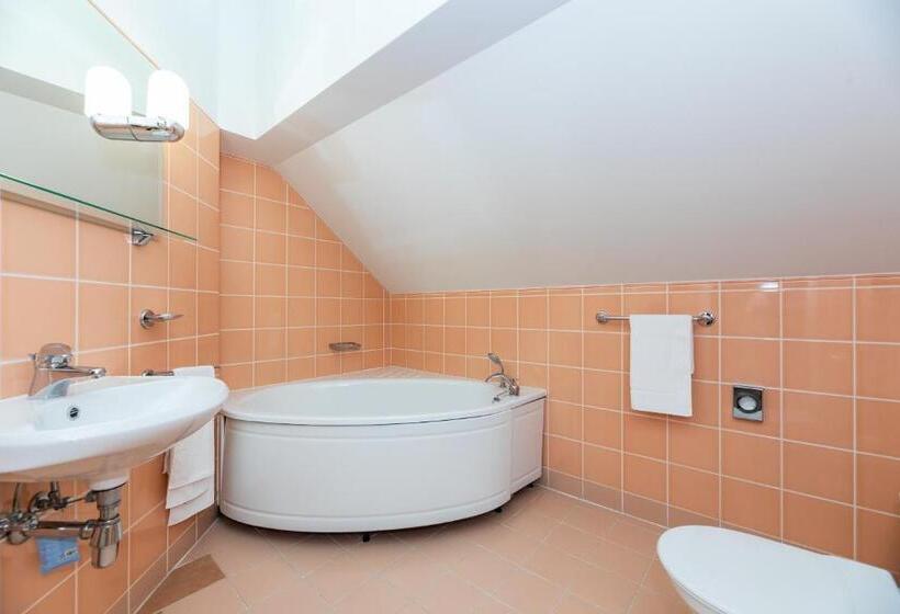 اتاق سوپریور خانوادگی, Vila Ieva