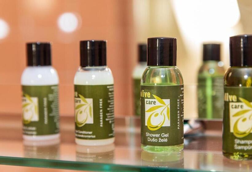 اتاق اکونومی, Vila Ieva