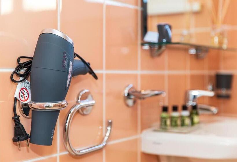 اتاق اکونومی, Vila Ieva