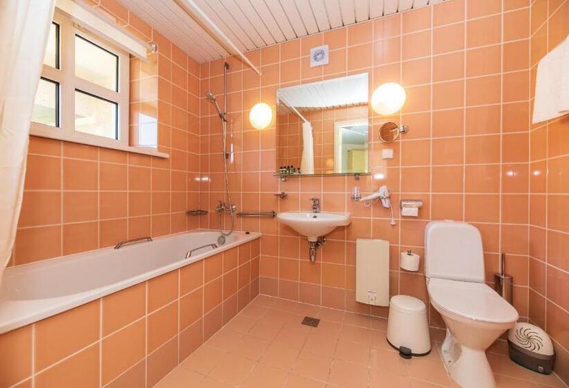 اتاق استاندارد با بالکن, Vila Ieva