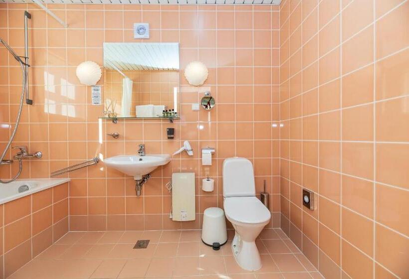 اتاق لوکس با بالکن, Vila Ieva