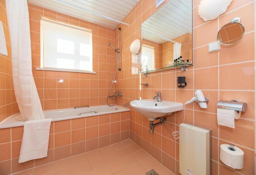 اتاق لوکس با بالکن, Vila Ieva