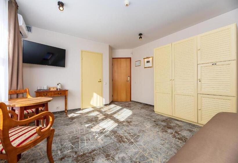 اتاق لوکس با بالکن, Vila Ieva