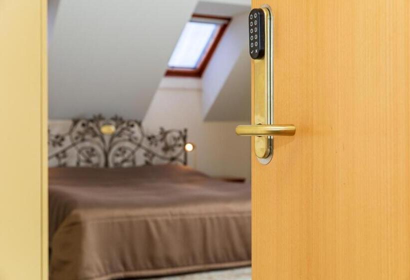 اتاق لوکس با بالکن, Vila Ieva