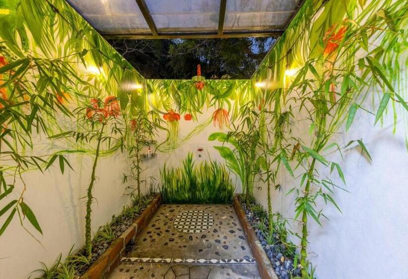 خانه 3 خوابه, Catba Spring Homestay