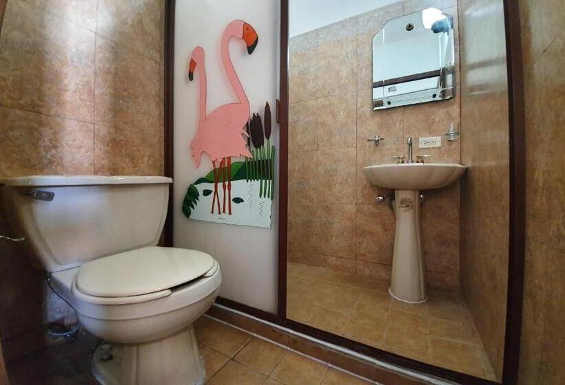Quarto Estandar, Colonos Los Cabos