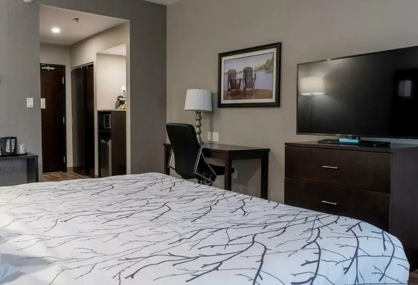身障者適用キングサイズベッドルーム, Best Western Premier Northwood
