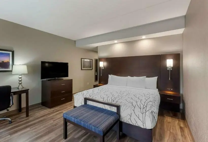 キングサイズベッドのスタンダードルーム, Best Western Premier Northwood