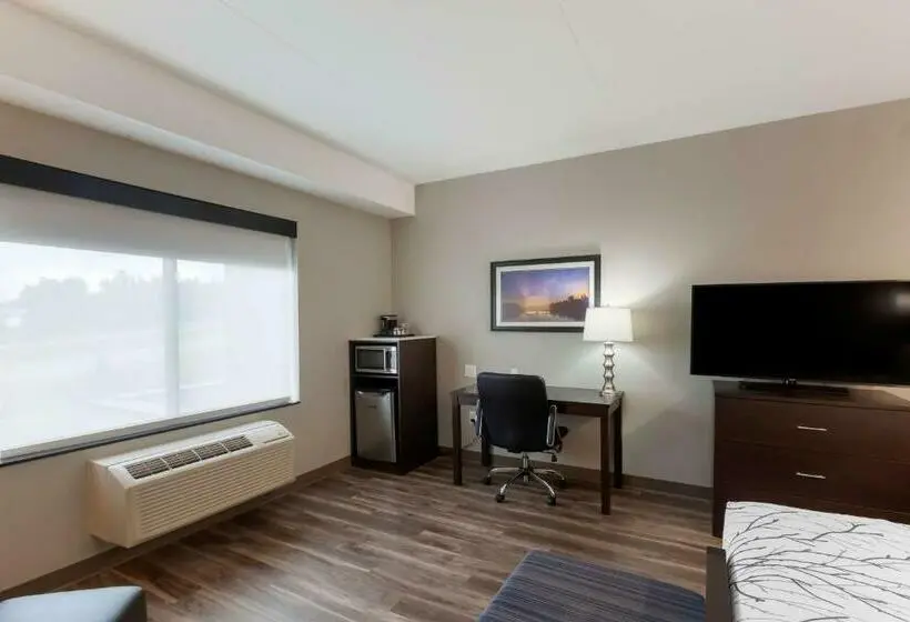 キングサイズベッドのスタンダードルーム, Best Western Premier Northwood