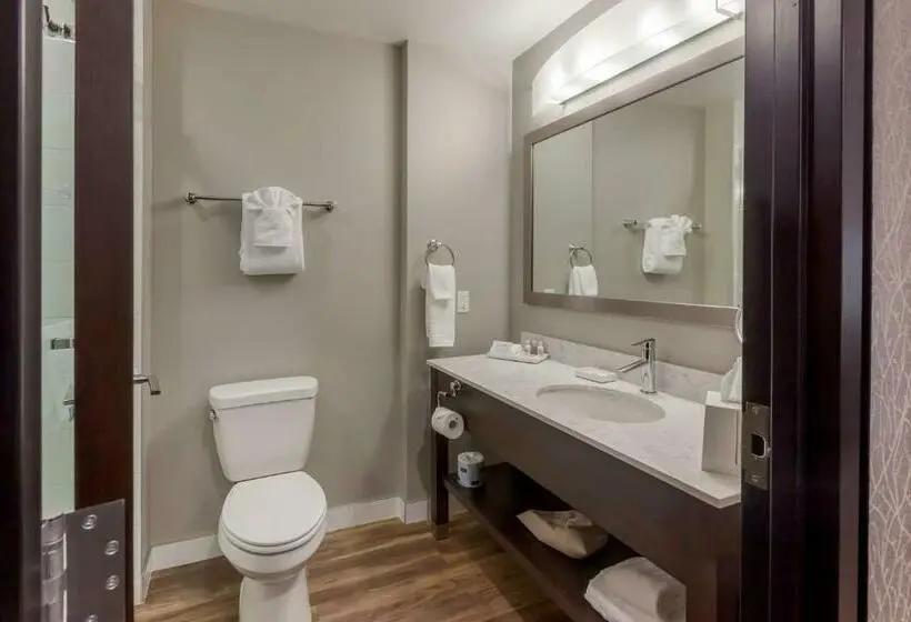 キングサイズベッドのスタンダードルーム, Best Western Premier Northwood