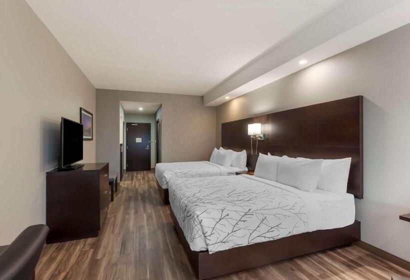 غرفة قياسية لذوى الاحتياجات الخاصة, Best Western Premier Northwood