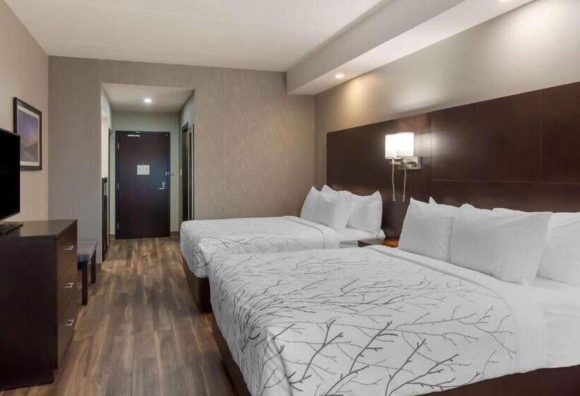 适合残疾人使用的标准间, Best Western Premier Northwood
