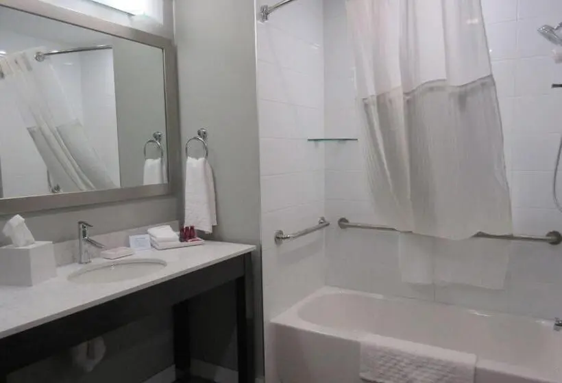 身障者適用スタンダードルーム, Best Western Premier Northwood