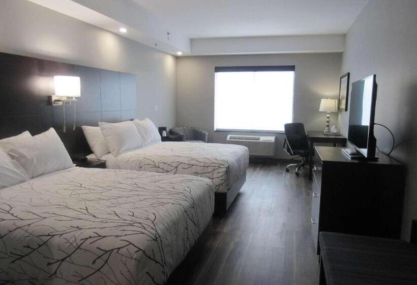 غرفة قياسية لذوى الاحتياجات الخاصة, Best Western Premier Northwood