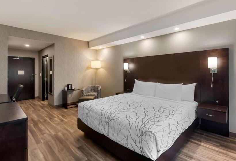 غرفة قياسية سرير كينج, Best Western Premier Northwood