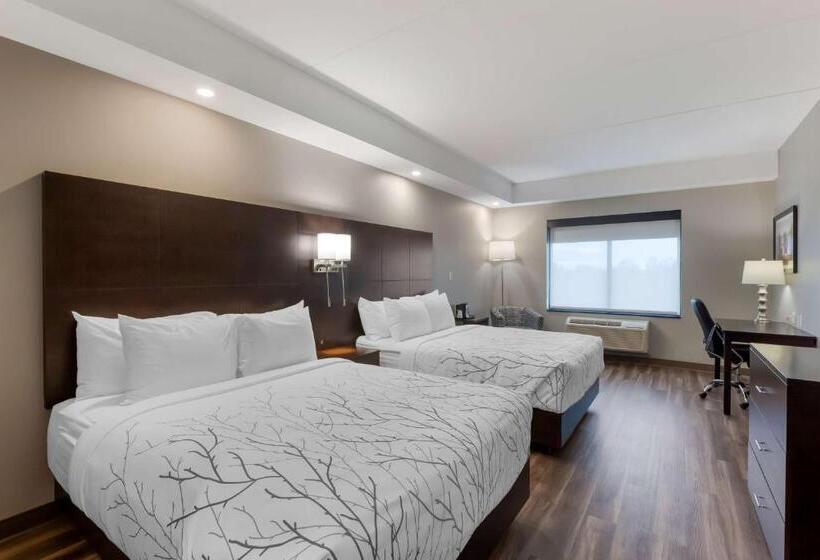 غرفة قياسية, Best Western Premier Northwood