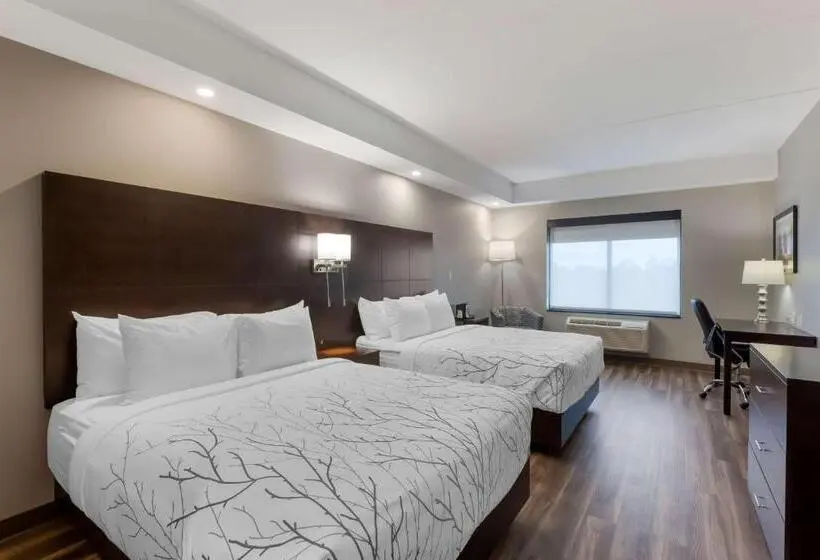 スタンダードルーム, Best Western Premier Northwood