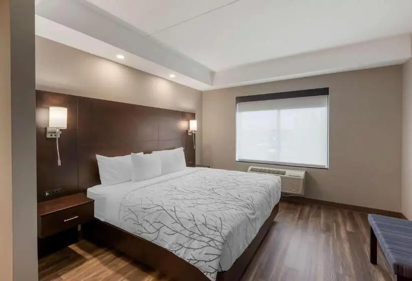 キングサイズベッドのスイートルーム, Best Western Premier Northwood
