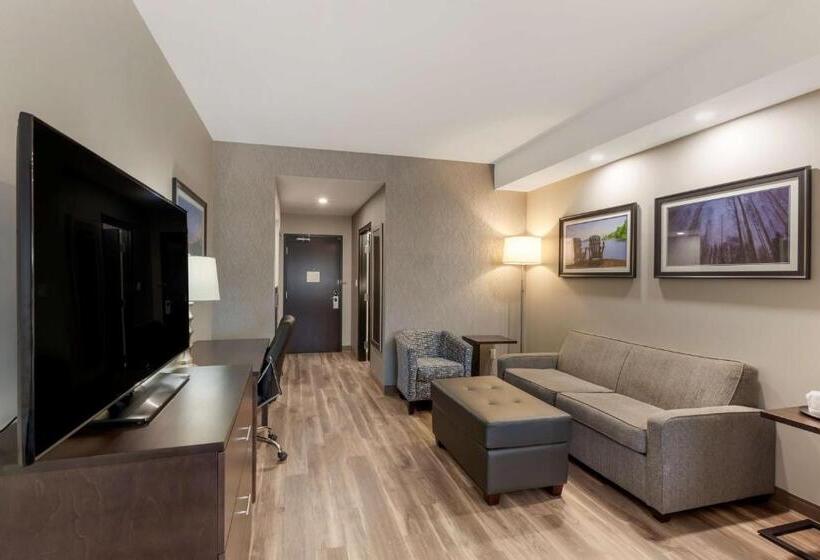 带大床的套房, Best Western Premier Northwood