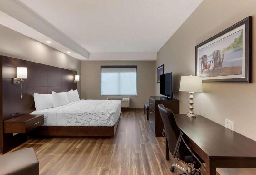 غرفة قياسية سرير كينج لذوى الإحتياجات الخاصة, Best Western Premier Northwood