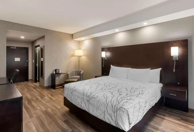 身障者適用キングサイズベッドルーム, Best Western Premier Northwood