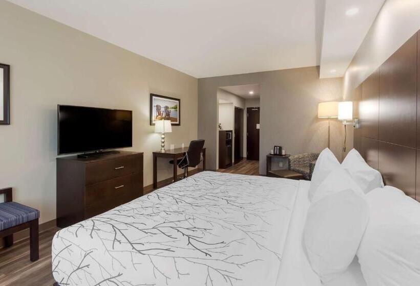 غرفة قياسية سرير كينج لذوى الإحتياجات الخاصة, Best Western Premier Northwood