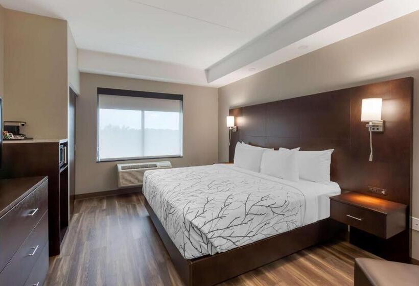 适合残疾人士使用的带超级大床的标准间, Best Western Premier Northwood