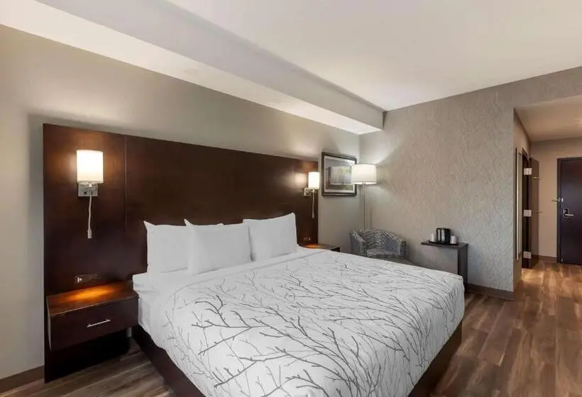 身障者適用キングサイズベッドルーム, Best Western Premier Northwood