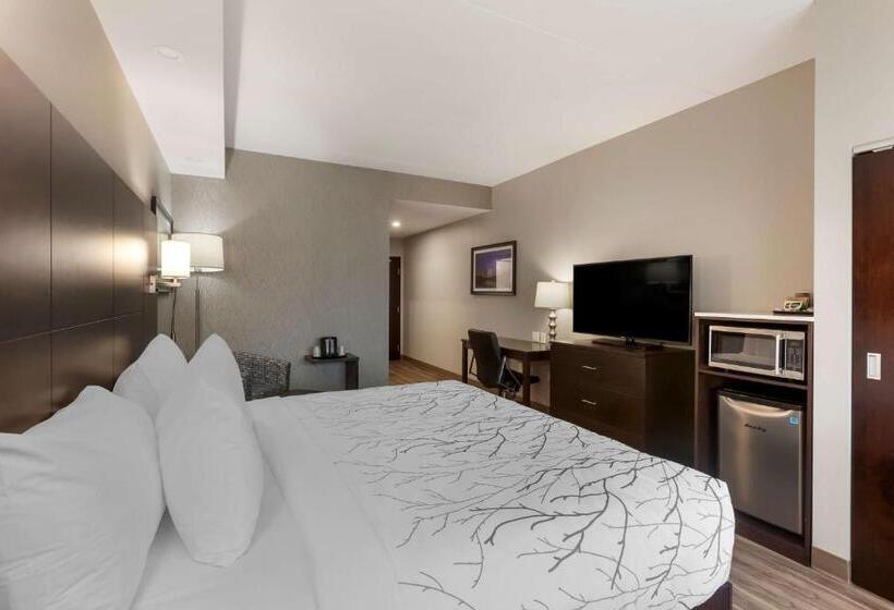 غرفة قياسية سرير كينج لذوى الإحتياجات الخاصة, Best Western Premier Northwood