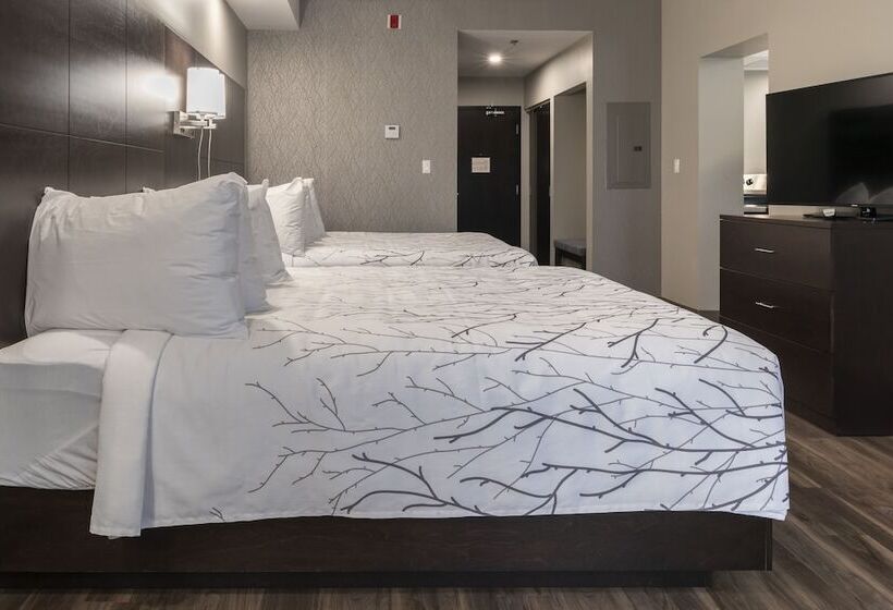 جناح, Best Western Premier Northwood