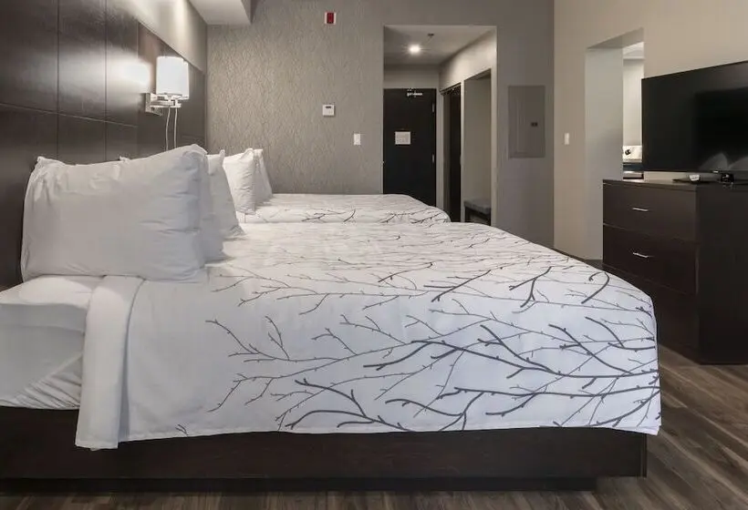 スイート, Best Western Premier Northwood