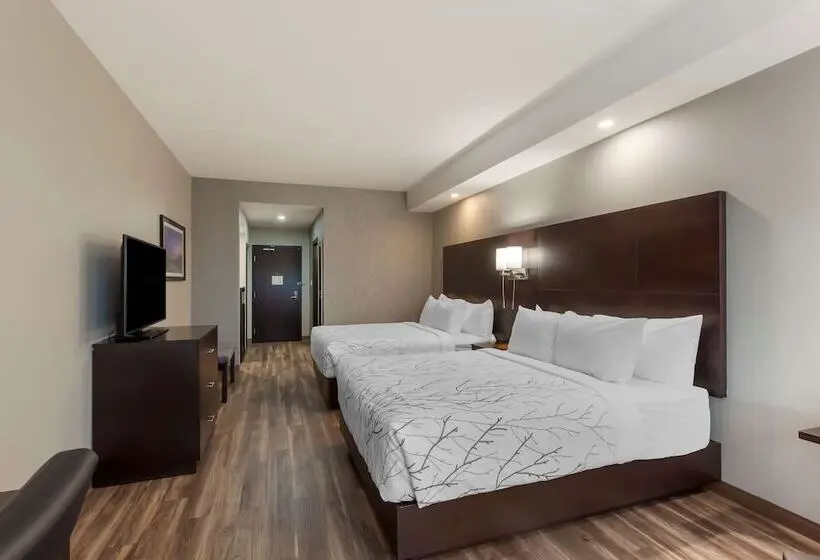 スイート, Best Western Premier Northwood