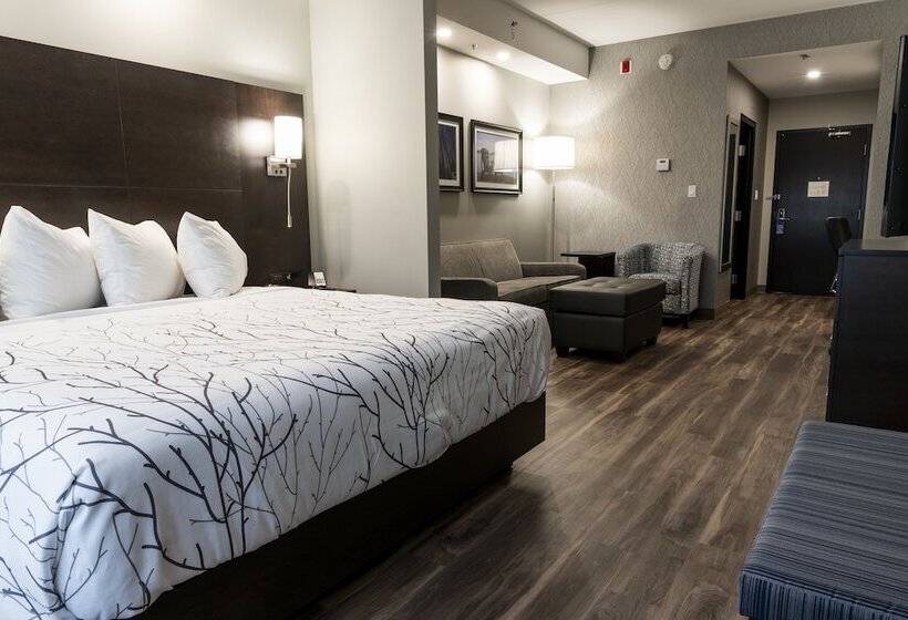 جناح, Best Western Premier Northwood