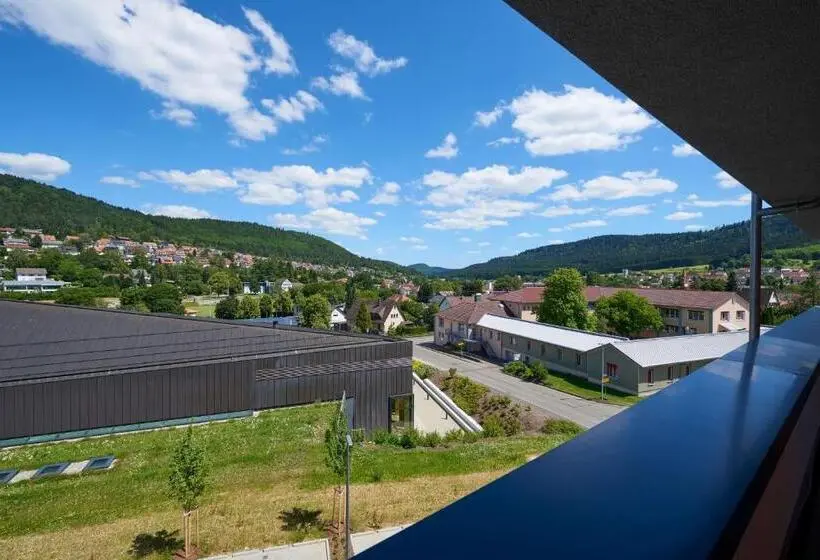 エクゼクティブルーム, Schlossberg Wehingen