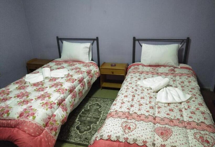 חדר אקונומי, Pinguino Hostel Athens