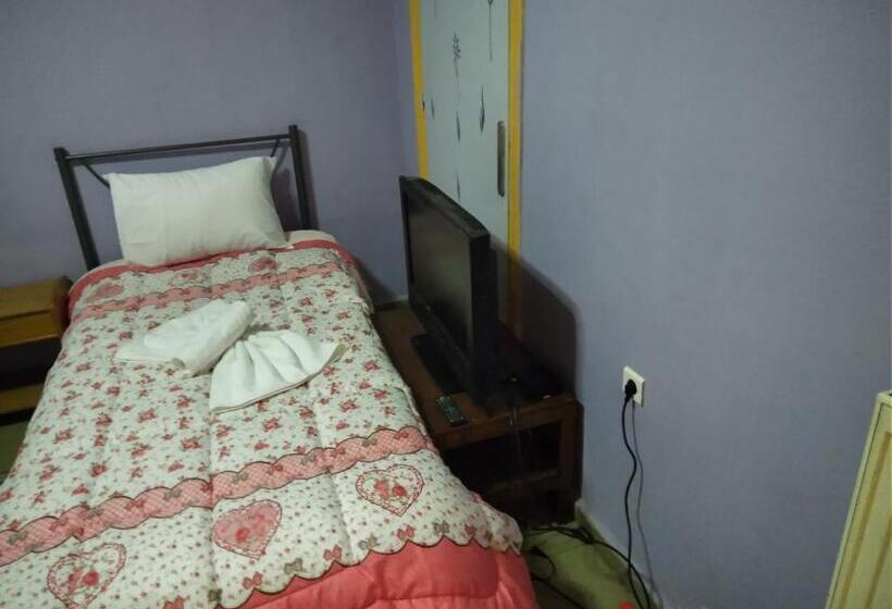 חדר אקונומי, Pinguino Hostel Athens