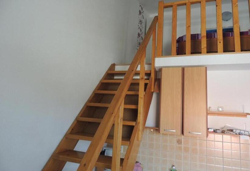 Студия Стандарт, Apartments Mijic