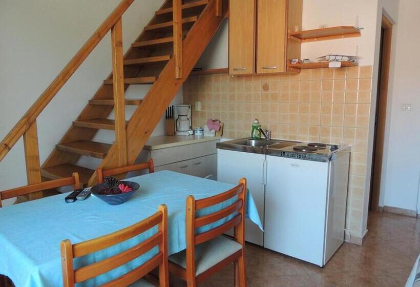 Студия Стандарт, Apartments Mijic