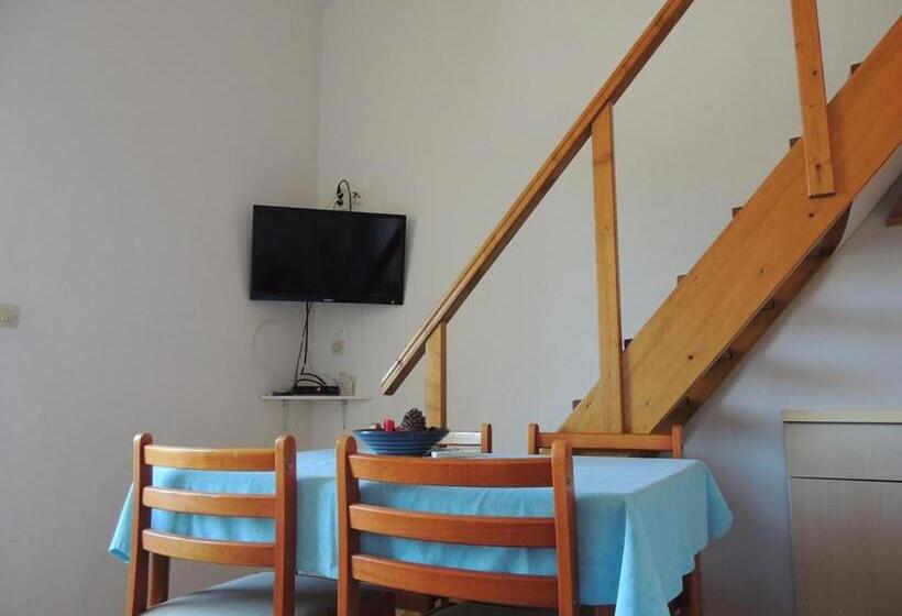 Студия Стандарт, Apartments Mijic