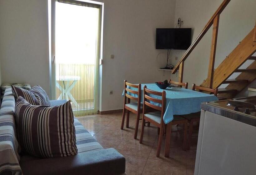 Студия Стандарт, Apartments Mijic